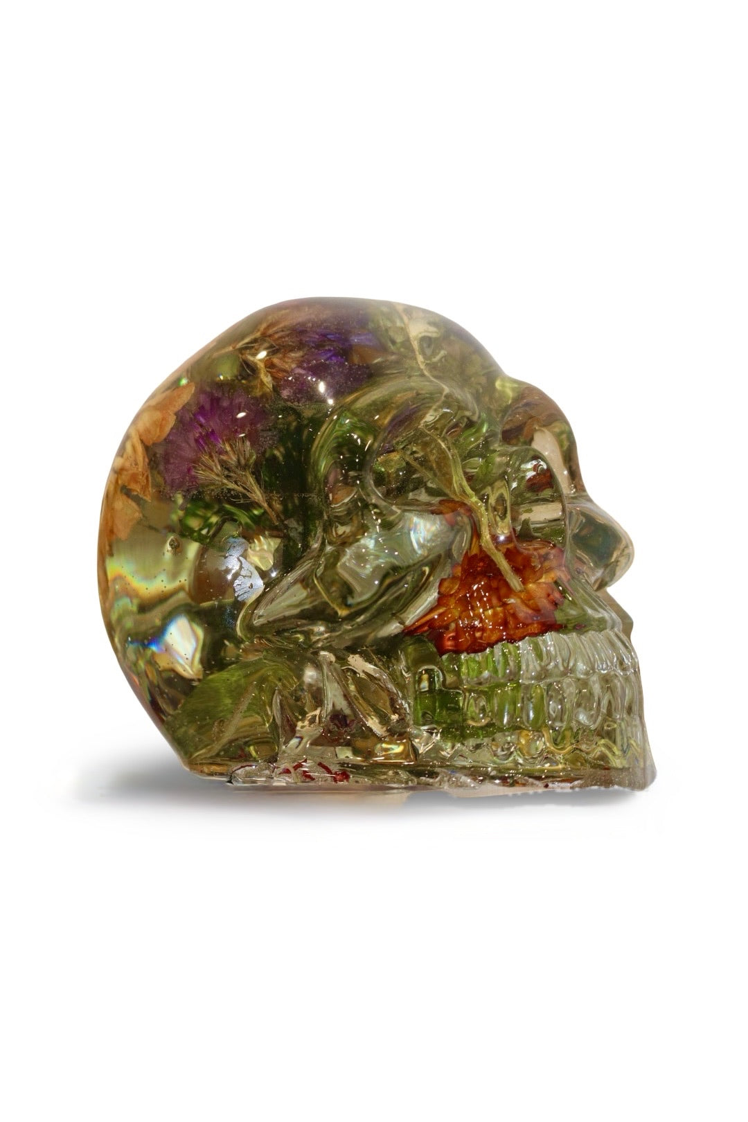 Sara Skull
