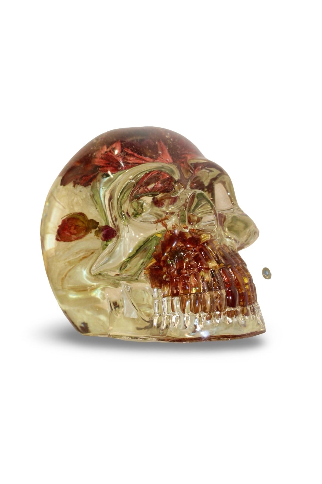 Santana Skull