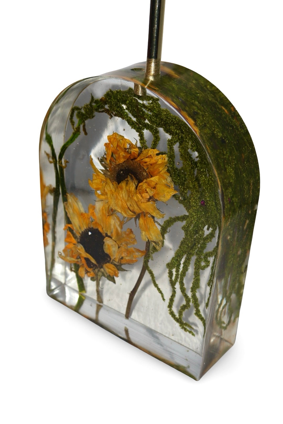 Sweet Sunshine Lamp