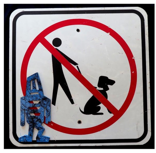 No Dog Walking