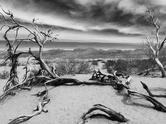 Death Valley - Leah Gerstel