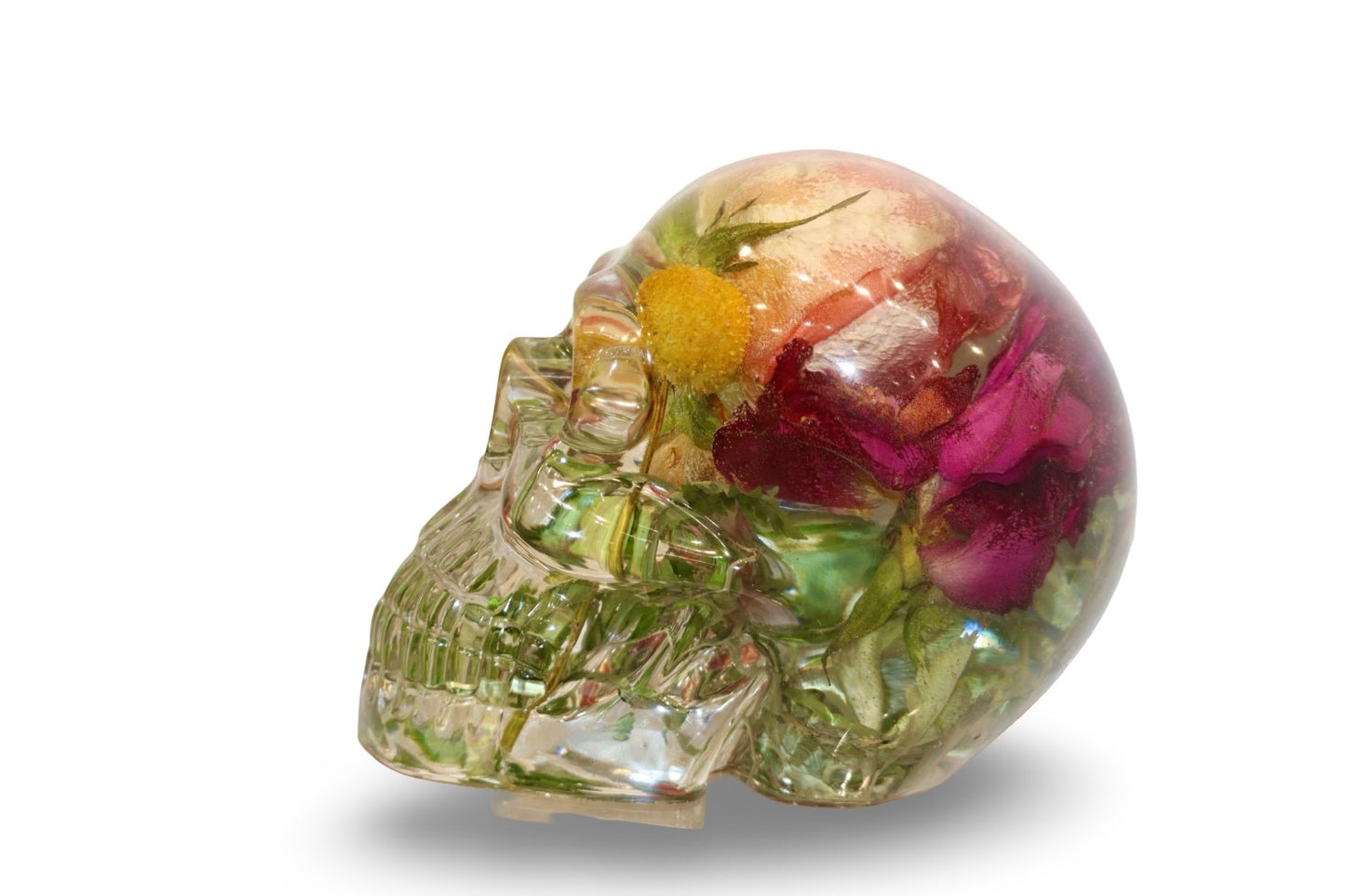 Eden Skull