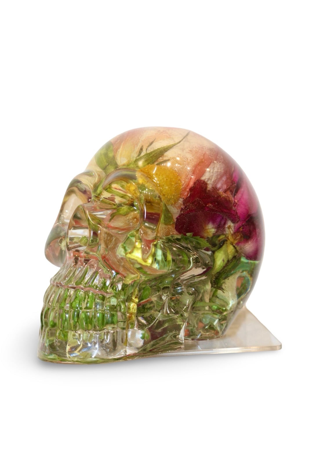 Eden Skull
