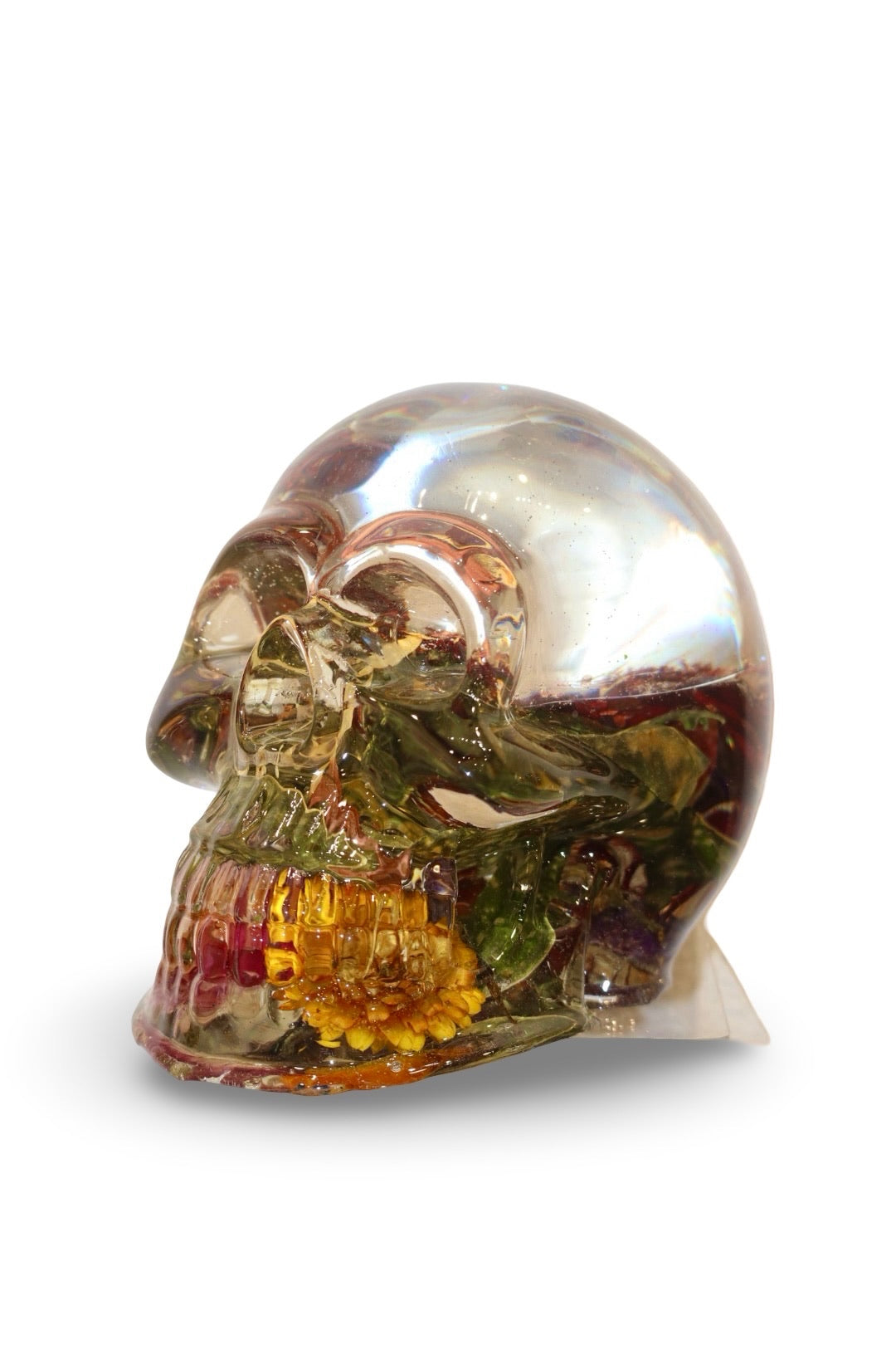 Clear Mind Skull