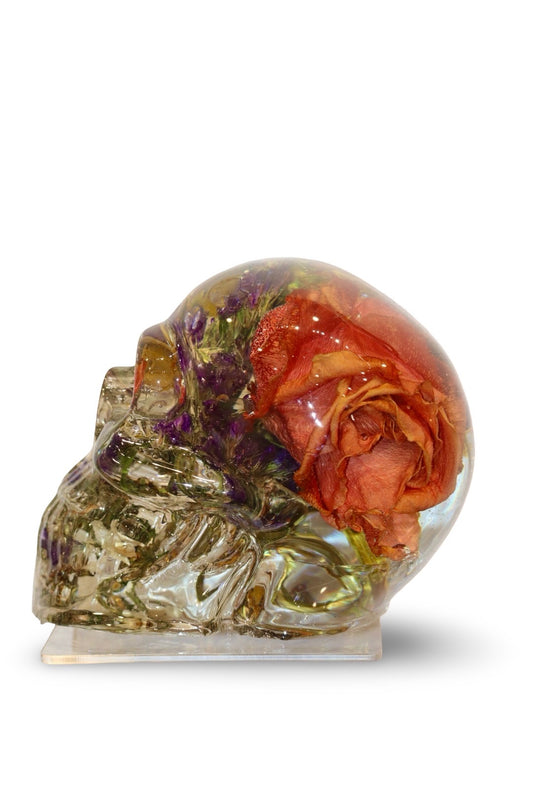 ROSElyn Skull