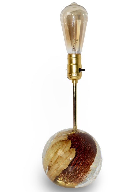 Banksia Lamp
