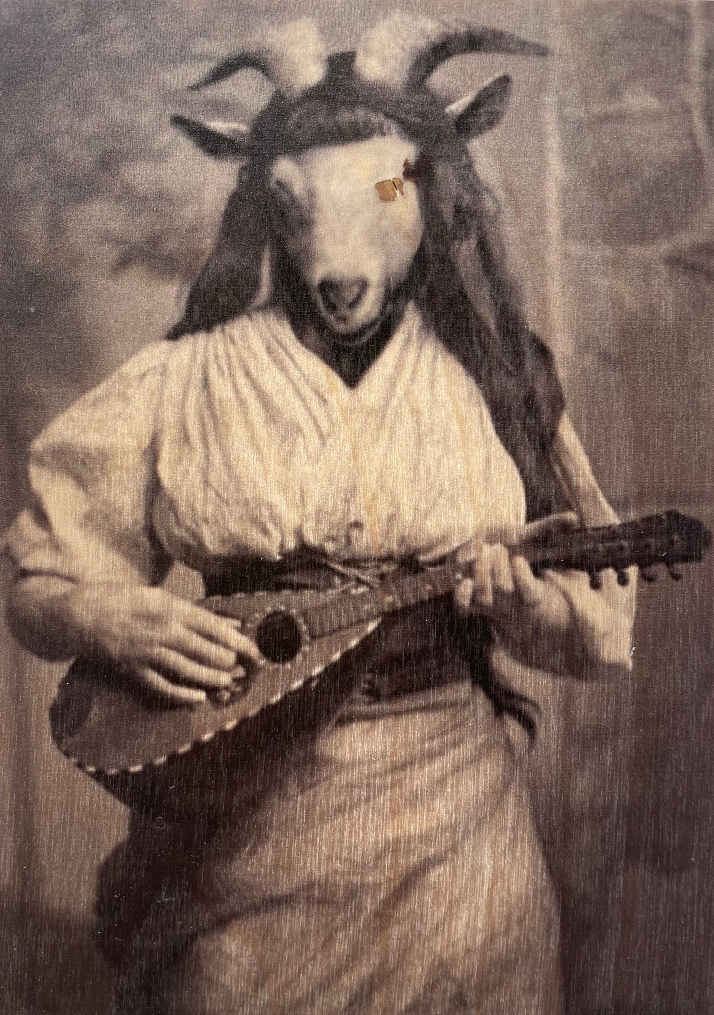 5x7 Musical Sheep
