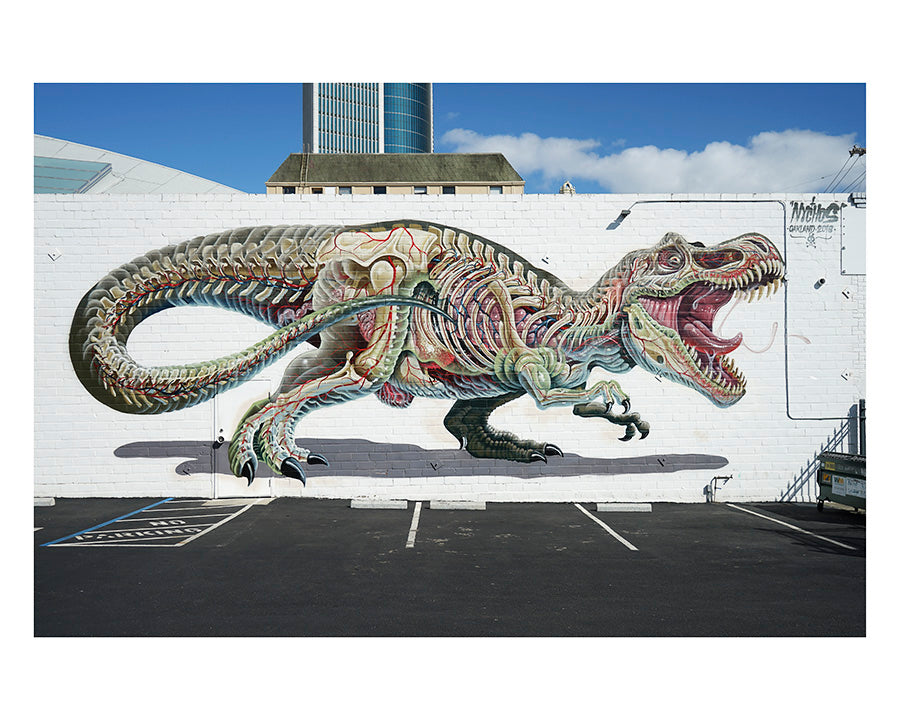 Nychos @nychos