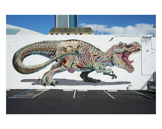 Nychos @nychos