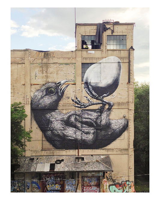ROA