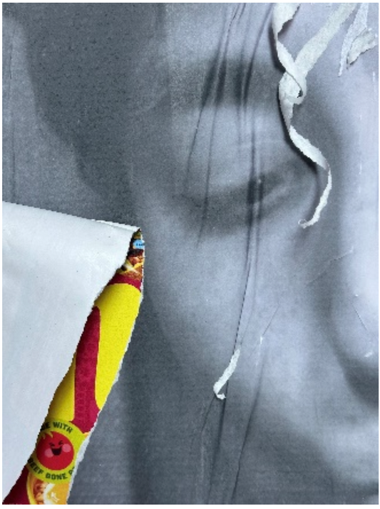 Untitled 8325 - M. Maul