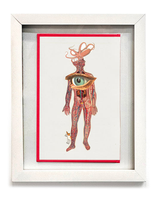 Eye- BOOK COVER FRAMED