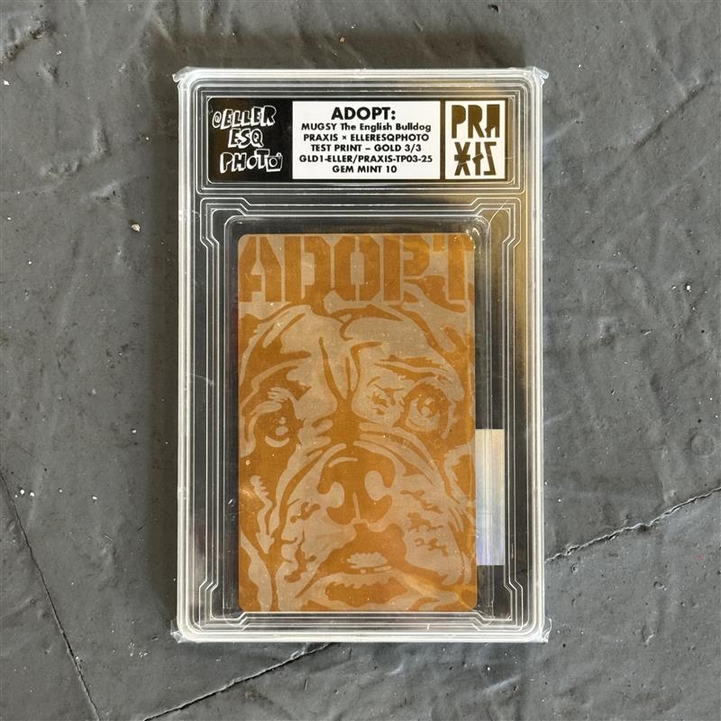 Praxis/Eller ESQ Trading Card Collaboration